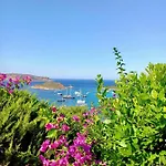 Punta Est - Trilo Erica Terrazza Panoramica 카파코다카발로
