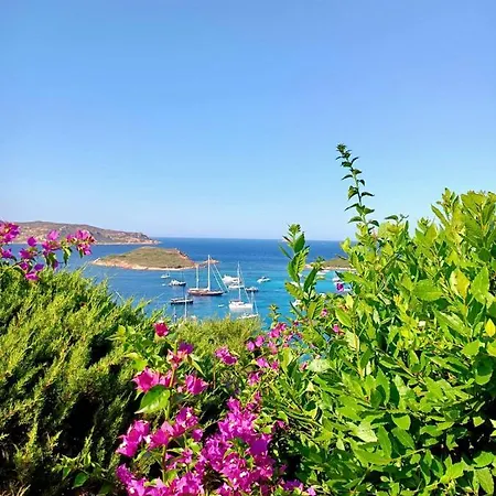 Punta Est - Trilo Erica Terrazza Panoramica Капо-Кода-Кавальо