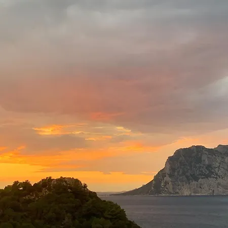 San Teodoro Punta Est Stupendo Trilocale Vista Mare Lejlighed Capo Coda Cavallo