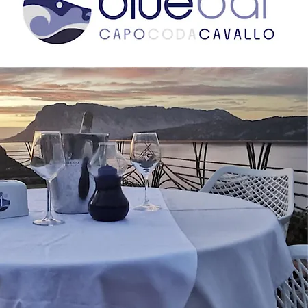 San Teodoro Punta Est Stupendo Trilocale Vista Mare Daire Capo Coda Cavallo