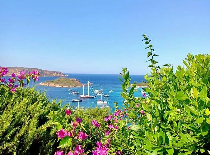 San Teodoro Punta Est Stupendo Trilocale Vista Mare Capo Coda Cavallo